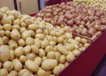 Souveraineté alimentaire: le Sénégal met fin aux importations de pomme de terre et d’oignon