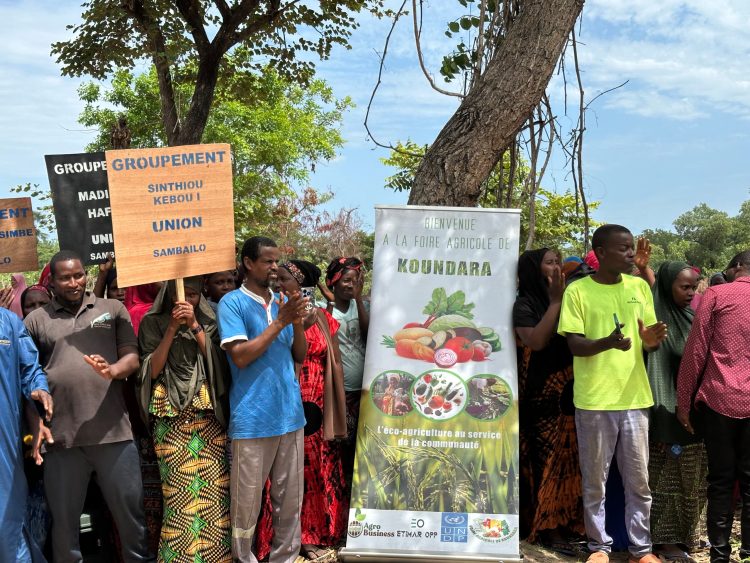 Koundara : réalisation de “sept forages solaires” pour intensifier la production agricole
