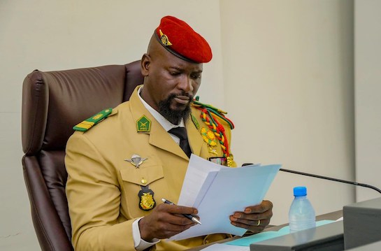 Guinée/Voici la composition du « nouveau » Gouvernement Bah Oury (liste)
