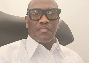 Libre opinion. Guinée avec le groupe de la BAD, le retour en force