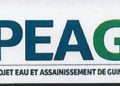 AVIS A MANIFESTATIONS D’INTERET:« RECRUTEMENT D’UN (1) COMPTABLE DEDIE À L’OGPNRF AU COMPTE DU PEAG ».