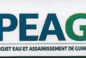 AVIS A MANIFESTATIONS D’INTERET:« RECRUTEMENT D’UN (1) COMPTABLE DEDIE À L’OGPNRF AU COMPTE DU PEAG ».